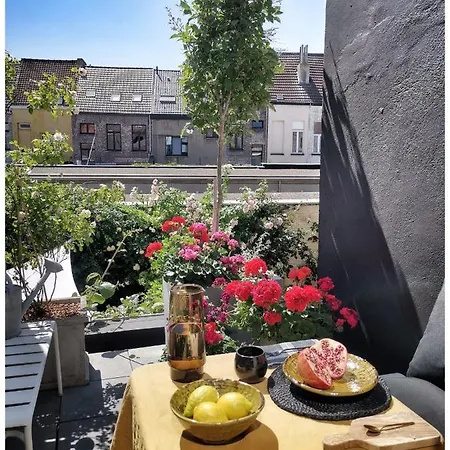 Spiegelhof Gand