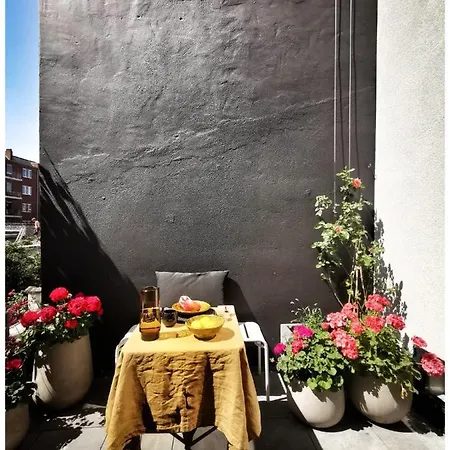 Spiegelhof Apartmán Gent