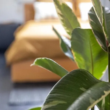 Appartement Spiegelhof Gent