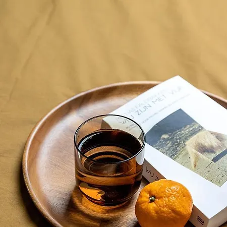 Spiegelhof Appartement *