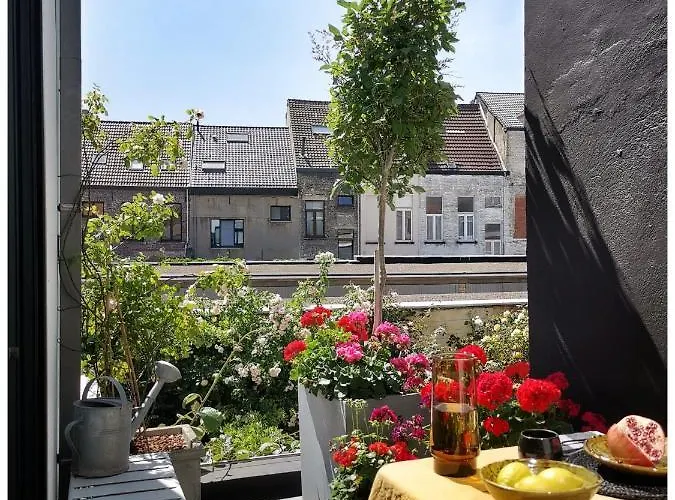 Spiegelhof Apartament