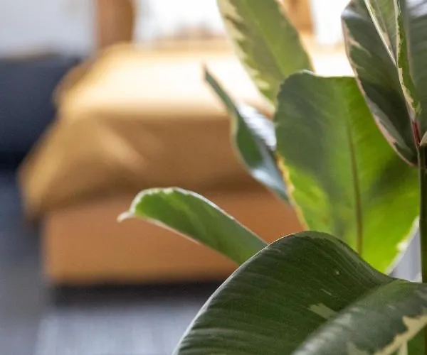 公寓 Spiegelhof 根特